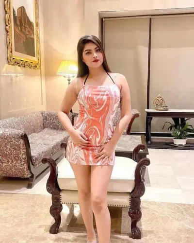 Escorts Service In Manvi